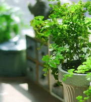 齐齐哈尔专属于你的开运指南，助你鸿运当头福满身！